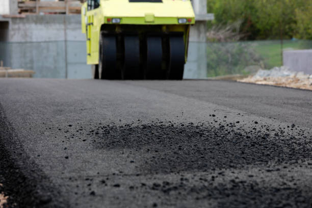 Best Local Driveway Pavers  in Wolf Lake, MI