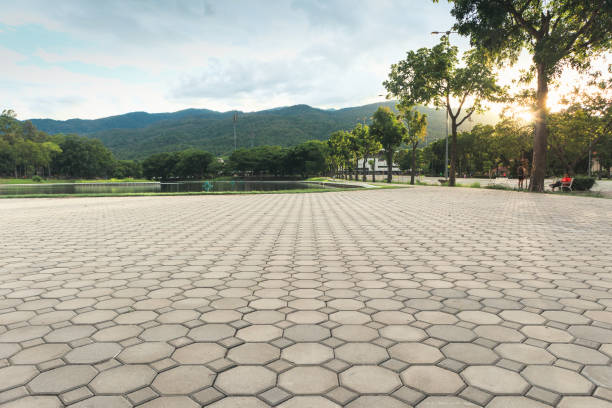 Professional Driveway Pavers in Wolf Lake, MI