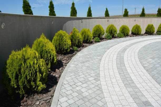 Reasons to Select Us for Your Driveway Paving Requirements in Wolf Lake, MI