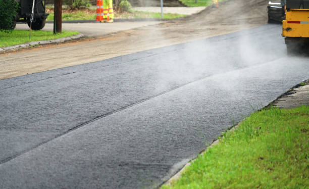 Best Driveway Paver Sealing  in Wolf Lake, MI